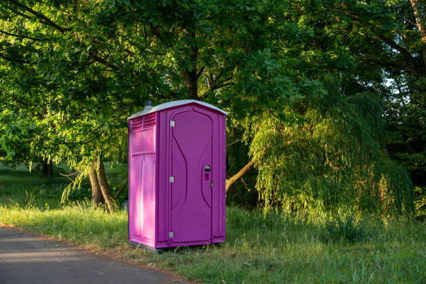 Best Sanitation services for porta potties  in Holbrook, AZ